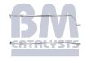 Автозапчасть BM CATALYSTS BM50107 (фото 1)