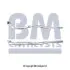 Випускна труба BM CATALYSTS (BM50293) изображение 1