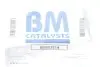Катализатор выхлопной системы BM CATALYSTS (BM80357H) изображение 2