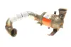 Каталізатор вихлопної системи Citroen Jumpy/Peugeot Expert 2.0HDi 07 BM CATALYSTS (BM80439H) зображення 9
