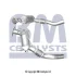 Катализатор EURO 4 BMW X3 (E83) 2.0D 09.04-08.07 BM CATALYSTS (BM80487H) изображение 1