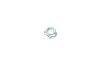 Фото Каталізатор вихлопної системи Ford Tourneo Connect/Transit Connect 1.8TDCi/DI 02-18 BM CATALYSTS (BM80621H) зображення 14
