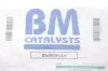 Катализатор BM CATALYSTS (BM90954H) изображение 3