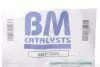 Каталізатор EURO 4 SKODA FABIA I, FABIA I PRAKTIK VW POLO IV 1.2 07.01-12.07 BM CATALYSTS (BM91302H) зображення 2