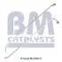 Напірний трубопровід, датчик тиску (протисаж./пил. фільтр) BM CATALYSTS (PP11237B) зображення 1