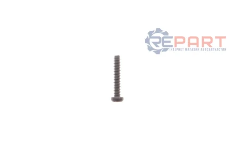 Гвинт ST4*22 для акумуляторного гайкокруту 14000001 BM TOOLS 16000008