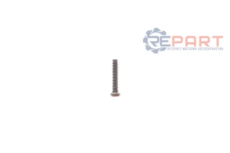 Гвинт для акумуляторної тріскачки 15000001 BM TOOLS 16000108