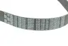 Ремінь генератора 3 (G20/G80/G28)/5 (G30/F90)/X5 (G05/F95) 3.0d 20- B57 (8PK1122) BMW (11289887028) изображение 2