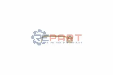 Форсунка оливна 3 (E90-E93)/5 (E60-/E61/F10/F18)/X5 (E70) 04- N51/N52 BMW 11377519544 Купити в Україні