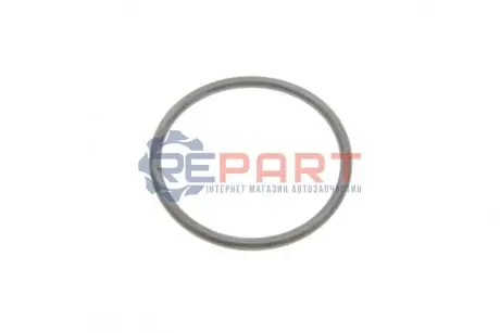 Ущільнення, водяний насос BMW 11511711484 Купити в Україні