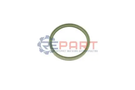 Уплотнение, корпус выпускного коллектора. BMW 11617790547 Купить в Украине
