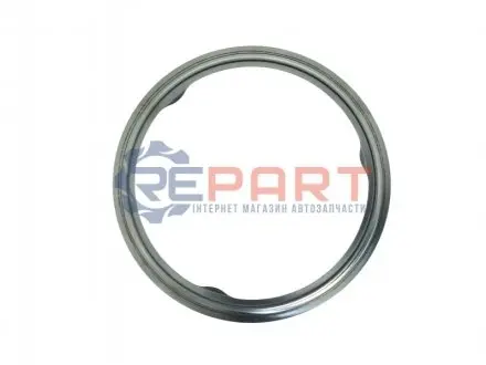 Уплотнитель катализатора M57 BMW 18307793678 Купить в Украине