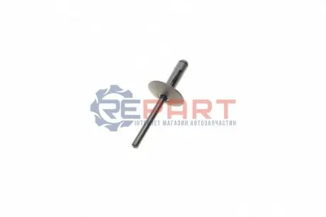Заклепка кріплення підкрила (к-кт 5 шт) 3 (E90/E91/E92/E93) 06-13 BMW 51717002953 Купити в Україні