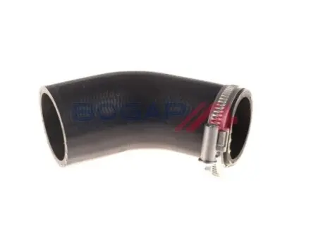 Патрубки BOGAP A1711151 Купити в Україні