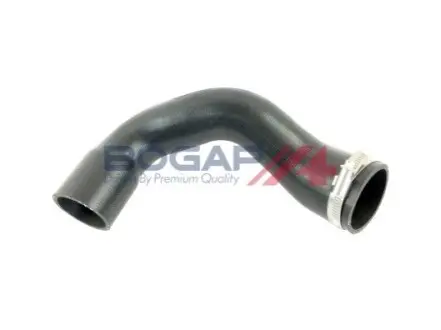 Патрубки BOGAP A1711238 Купити в Україні