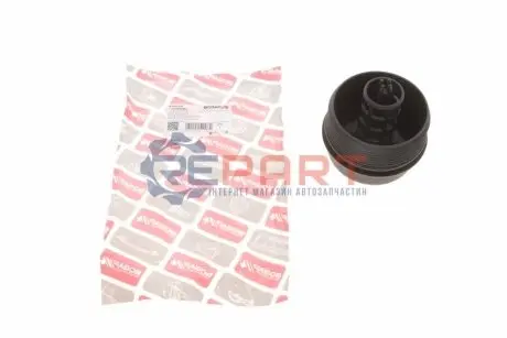Кришка фільтра масляного BMW 1 (F20/F21)/3 (F30/F80/F31) 11- N13 BOGAP B1422107 Купити в Україні
