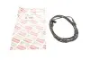 Фото Датчик зносу гальмівних колодок (передніх) BMW Z4 (E89) 09-16 BOGAP (B7118149) зображення 1