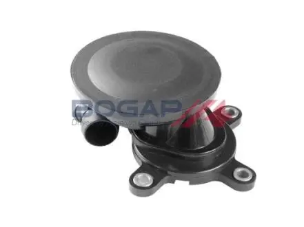 Оливовіддільник BOGAP C1216111 Купити в Україні