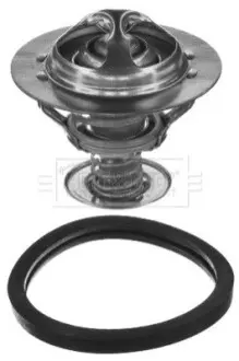 Термостат Fiat Scudo/Citroen Berlingo 1.9D/2.0JTD BORG & BECK BBT039 Купити в Україні