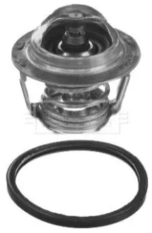 Термостат Opel Vectra C 2.2 16V 02 BORG & BECK BBT439 Купити в Україні