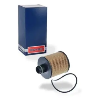 Фото Фiльтр масляний BORG & BECK (BFO4273) зображення 1