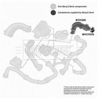 Шлангопровод BORG & BECK BTH1281