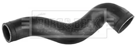 Шлангопровід BORG & BECK BTH1634