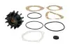 Віскомуфта вентилятора охолодження CASE NEW HOLLAND FIAT M100, M115, M135, M160 FORD 8160, 8260, 8360, 8560 NEW HOLLAND 8160, 8260, 8360, TM 115, TM 125, TM 125 CLASSIC, TM 135, TM 135 BRAZIL BorgWarner (183081) зображення 1