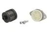 Дифференциальный масляный фильтр BorgWarner (BW120356) изображение 1