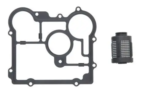 Диференційний масляний фільтр BorgWarner BW2006273