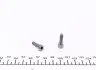Фото Фільтр масляний диференціал Volvo S60 2.4/2.5 01-10 (к-кт) BorgWarner (DS108190) зображення 5