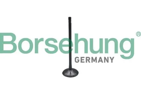 Фото Клапана впускні Borsehung (B10323) зображення 1