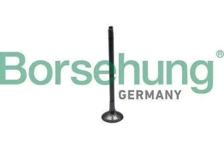 Клапана випускні Borsehung B10324 Купити в Україні