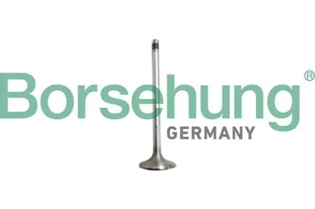 Клапан (впуск) VW Caddy IV/Golf VI/Touran 1.6 15- (OE VAG) Borsehung B10327 Купити в Україні