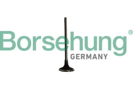 Клапана впускні Borsehung B10334 Купити в Україні