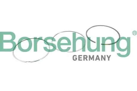 Кільця поршневі Borsehung B10364 Купити в Україні