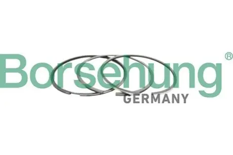 Фото Кільця поршневі (1 к-кт) Borsehung (B10366) зображення 1