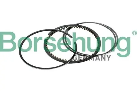 Кільця поршневі Borsehung B10367 Купити в Україні