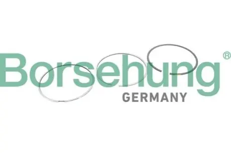 Фото 1 — Кільця поршневі Borsehung (B10368) Фото Кільця поршневі Borsehung (B10368) зображення 1