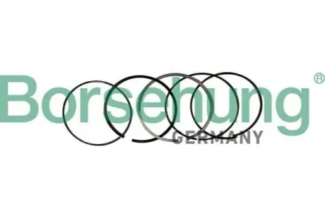 Фото 1 — Кільця поршневі Borsehung (B10369) Фото Кільця поршневі Borsehung (B10369) зображення 1