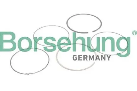 Комплект поршневих кілець Borsehung B10373 Купити в Україні