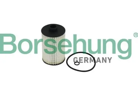 Фільтр масляний Audi A6/A7/A8 4.0 12-18 Borsehung B10519 Купити в Україні