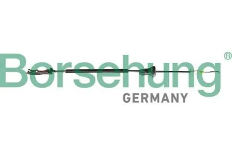 Borsehung B10794