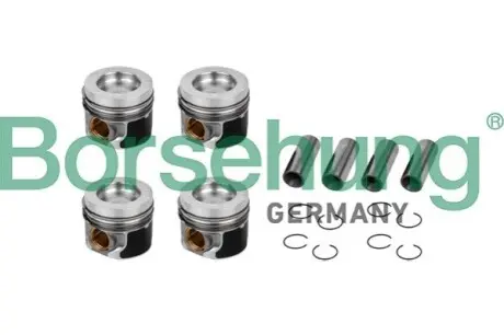 Поршень VW T5 2.0TDI (81.00mm/STD) Borsehung B11132 Купить в Украине