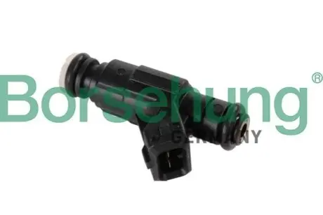 Форсунка топливная OE Borsehung B11164 Купить в Украине