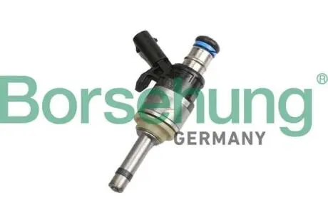 Форсунка Borsehung B11168 Купити в Україні