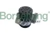 Фото Помпа води VW Crafter 2.0TDI 11-/T5 2.0TDI/BiTDI 09-/Caddy III 1.6TDI/2.0TDI 10 Borsehung (B11212) зображення 1