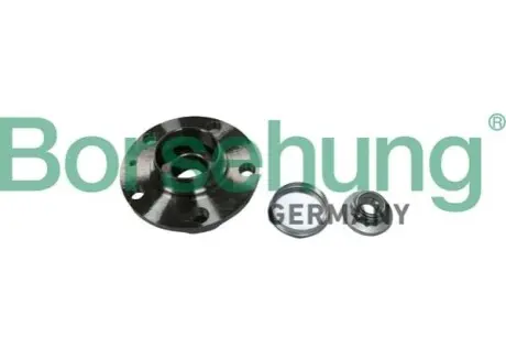 Фото Підшипник маточини (задньої) VW Polo VI 1.0 TSI 17- (ABS=43z) Borsehung (B11287) зображення 1