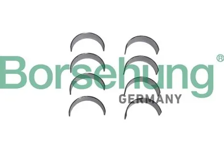 Вкладиші шатунні VW T5/T6 2.0TSI 11- Borsehung B11330 Купити в Україні