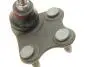 Фото Опора кульова (передня/знизу/L) Audi A1 10-/Seat Ibiza 02-15/Skoda Fabia 99-14/Rapid 12-/VW Polo 01 Borsehung (B11340) зображення 2